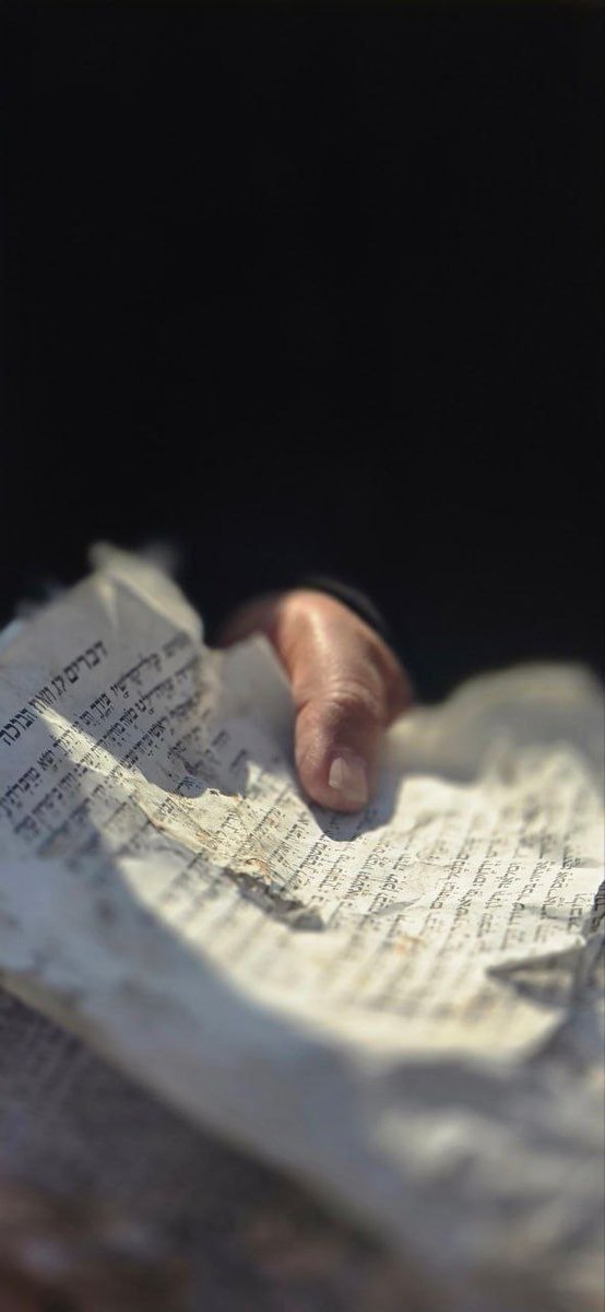 Iran Embassy in Zimbabwe tweet media