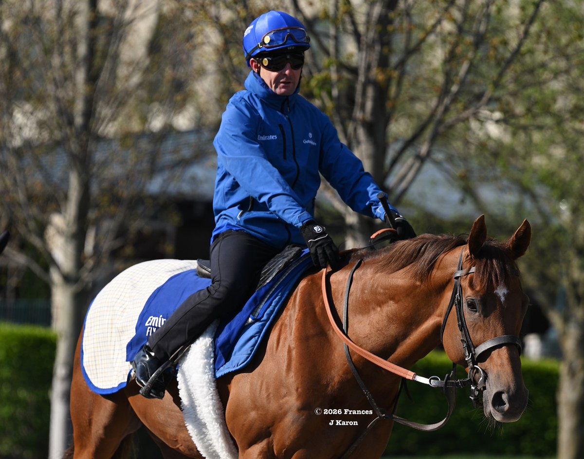 Frances J Karon tweet media