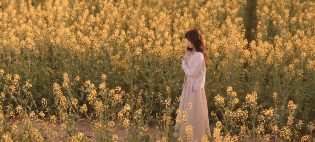 𑁯𓈒݊  ☆🌼🍃.ً𓂃,