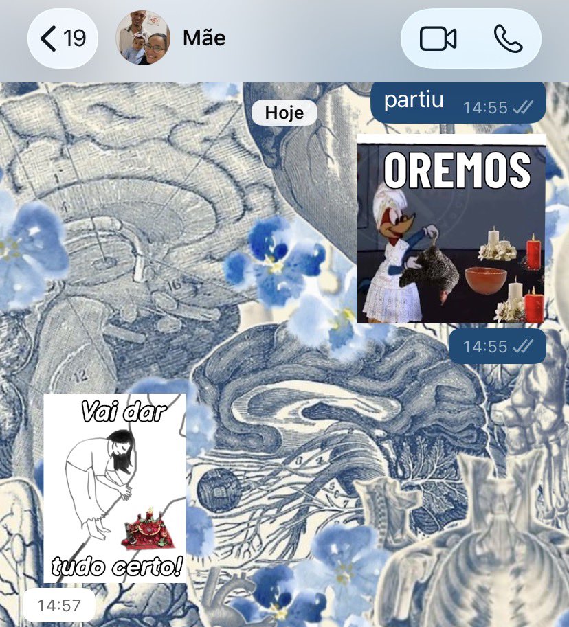 𓆉 ⋆｡˚𓇼 ⋆｡˚𓆟 tweet media