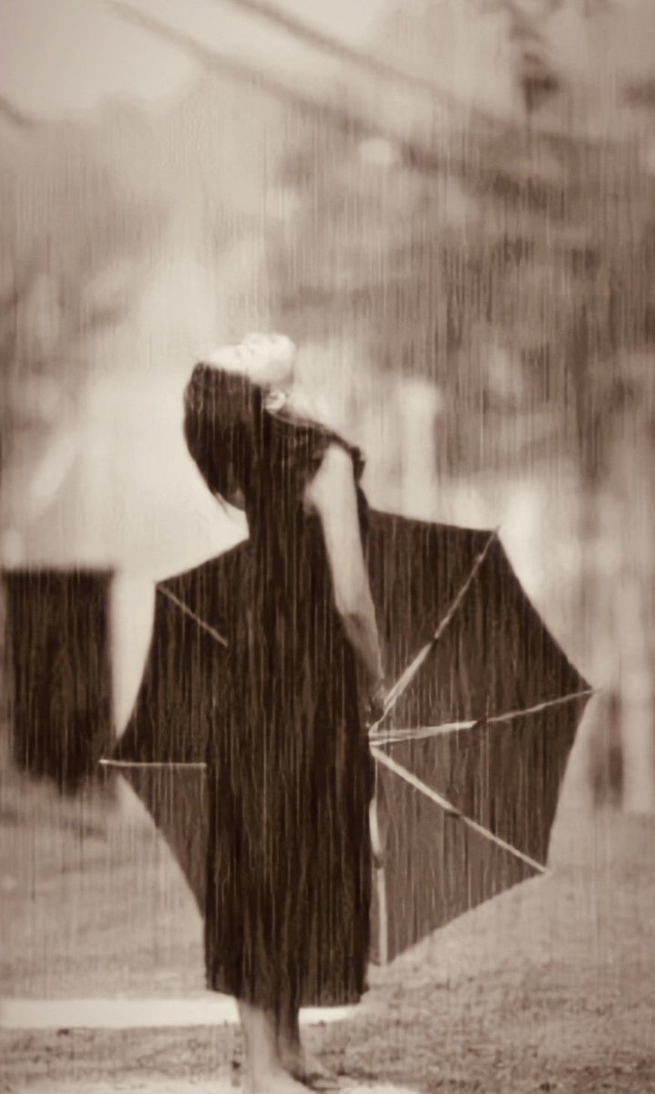 𝒱ℯ𝓇ℴ 🌷 tweet media