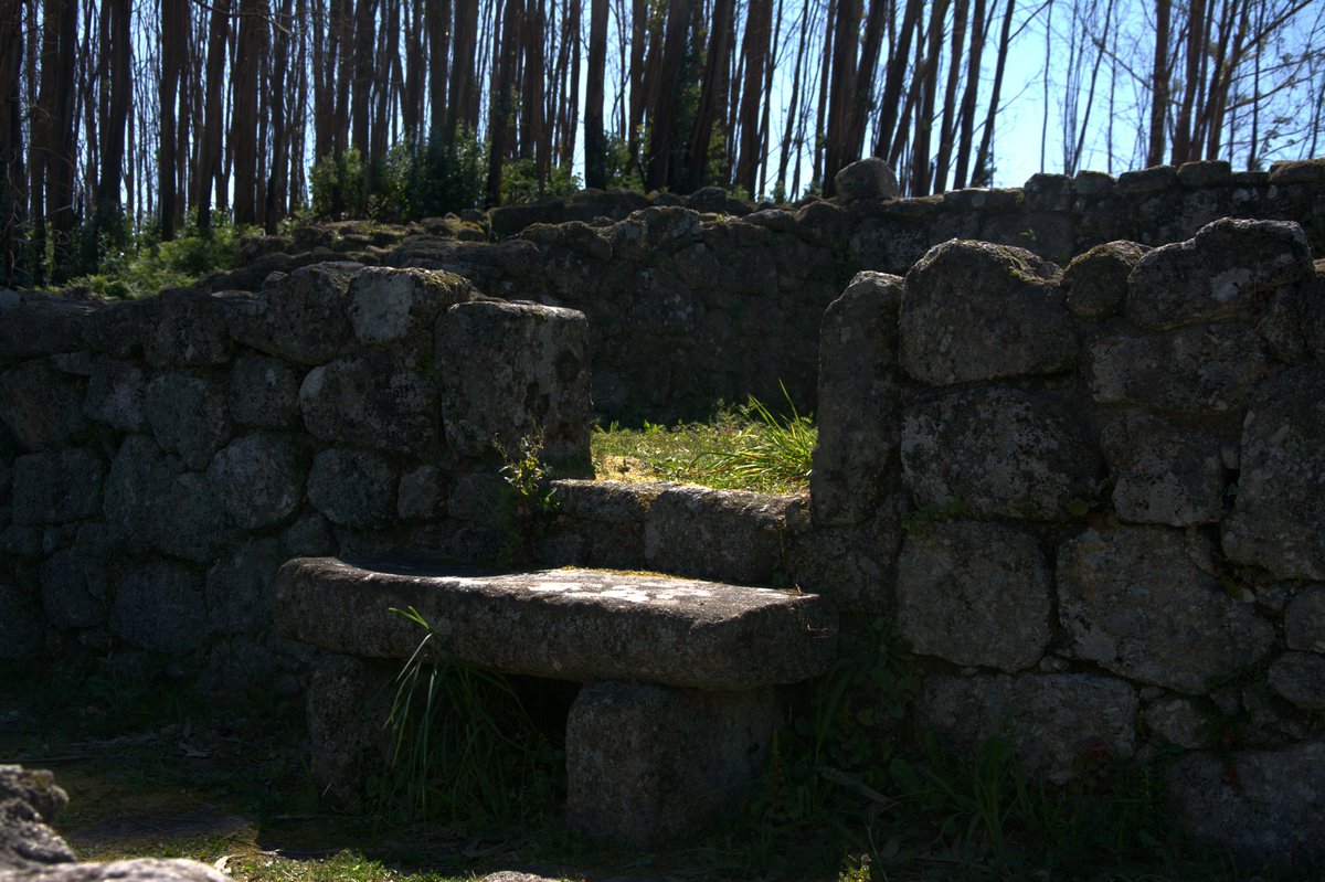 quíron 🪶 tweet media