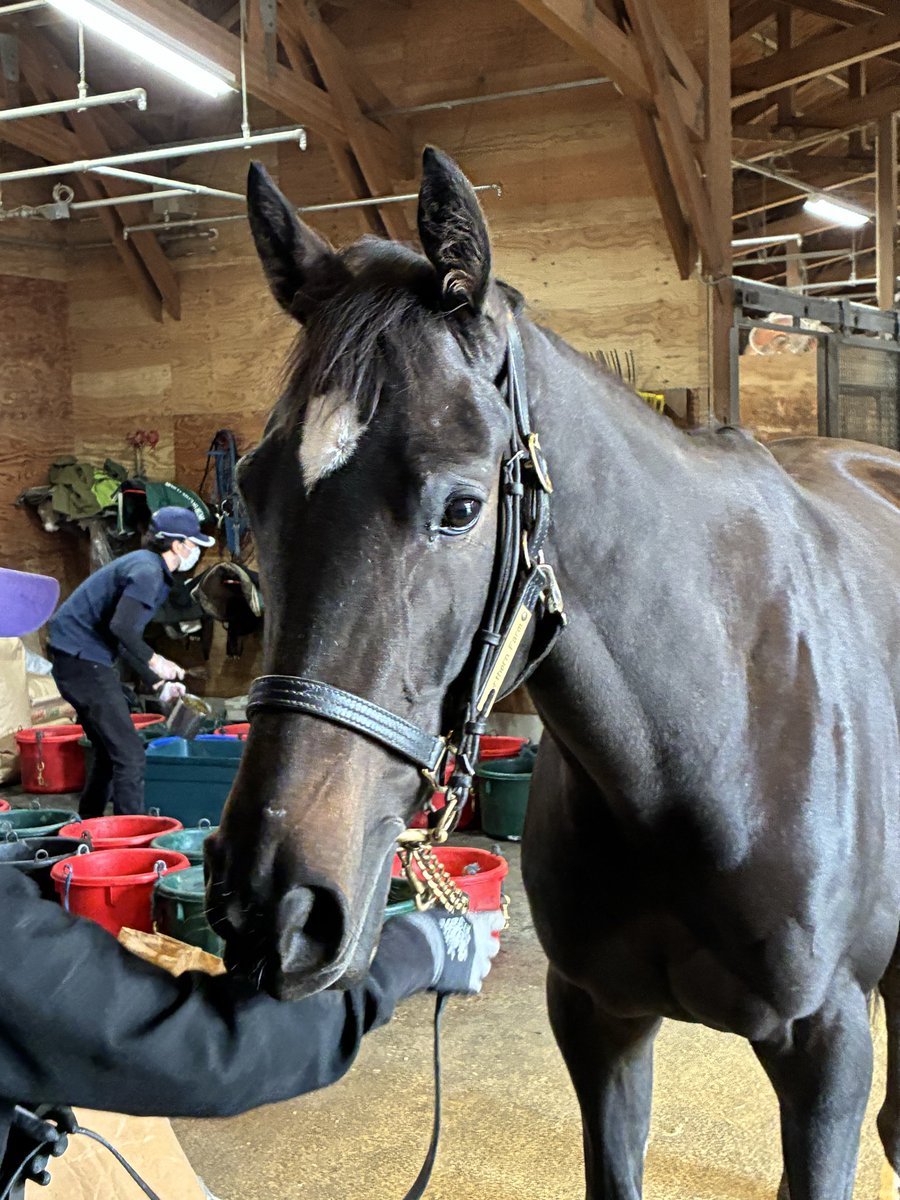 おやおやー tweet media