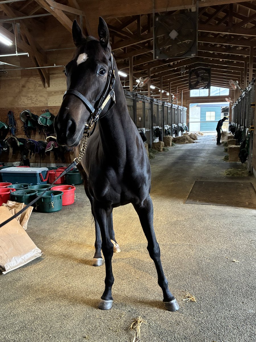 おやおやー tweet media