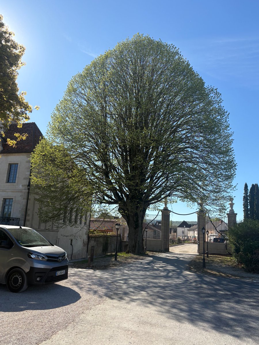 ALASTAIR CAMPBELL tweet media