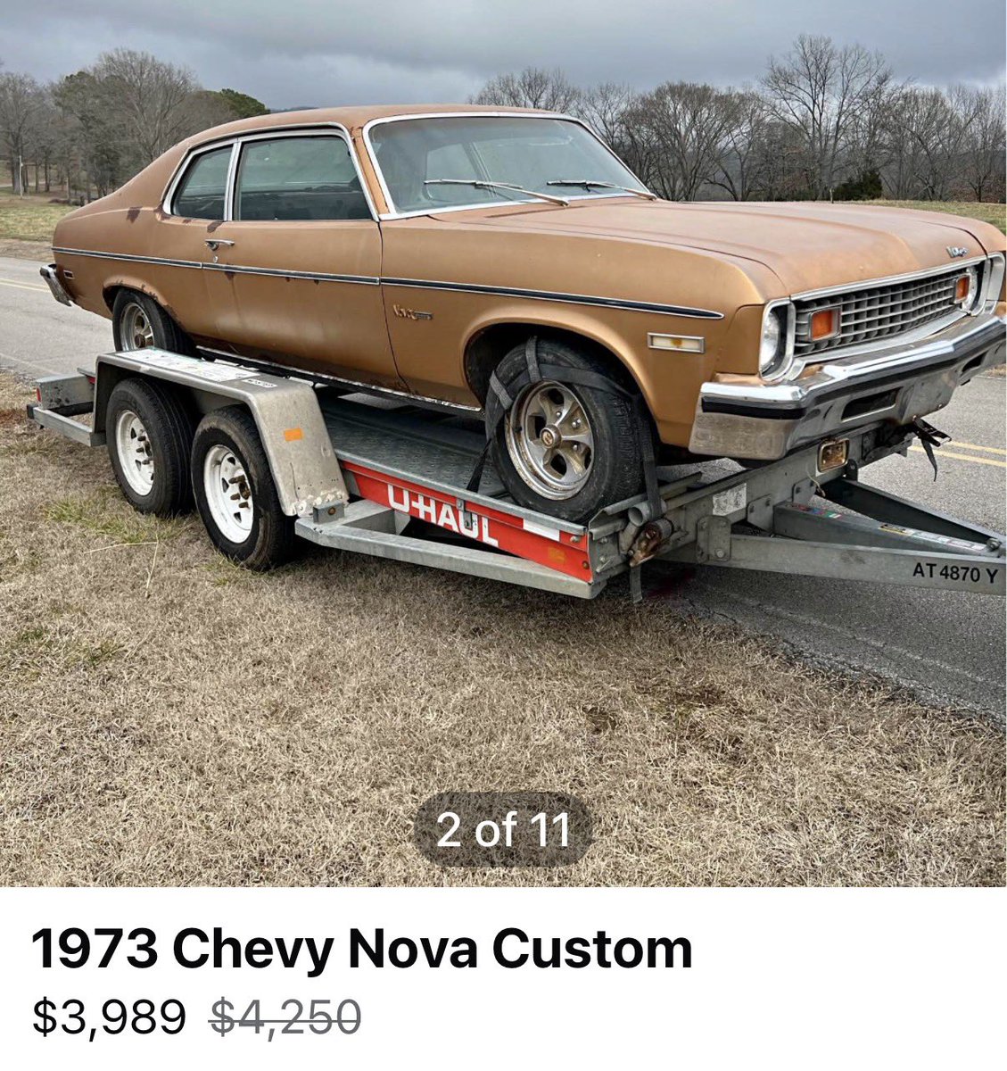 💲x 🎲 tweet media