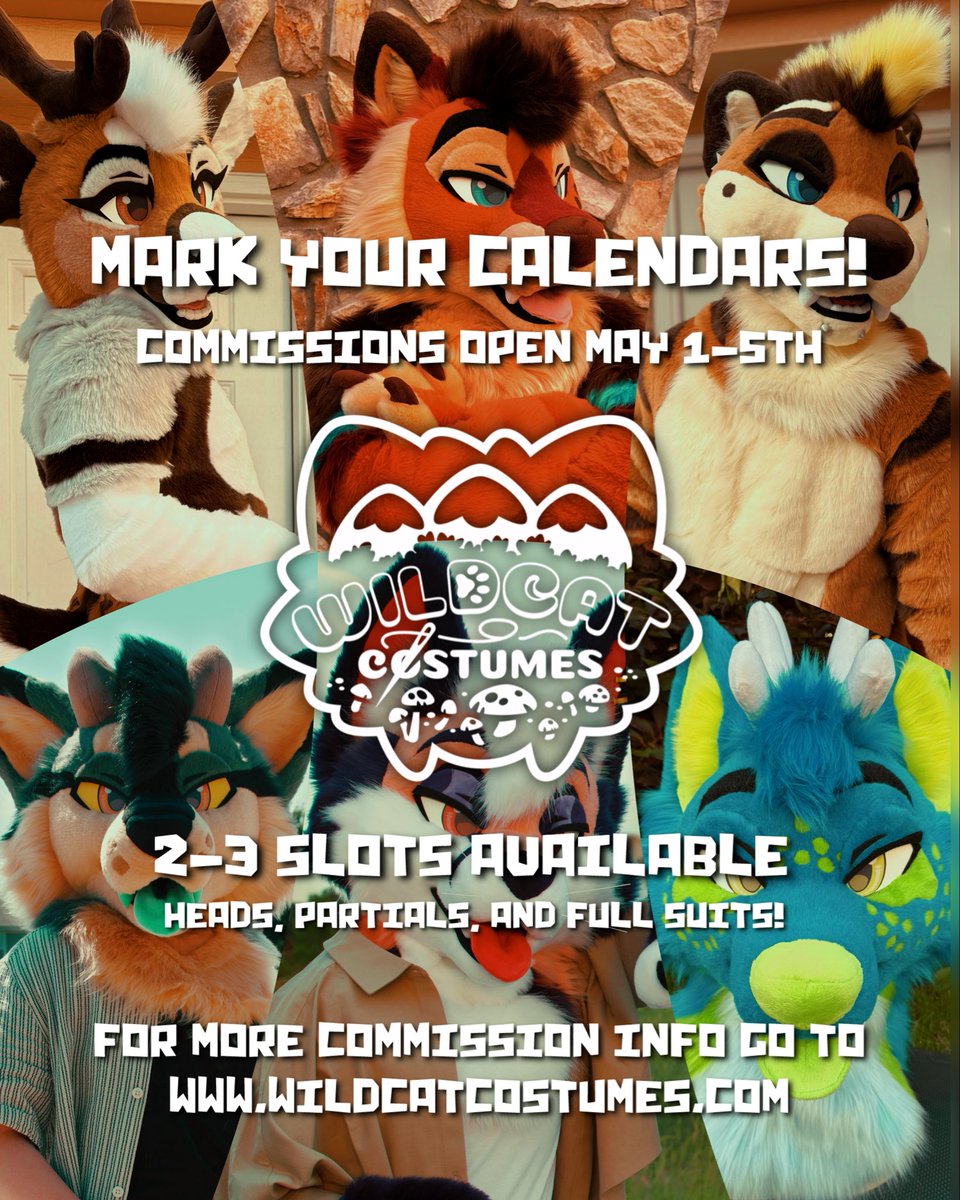 Wildcat Costumes 🪡🐾 tweet media