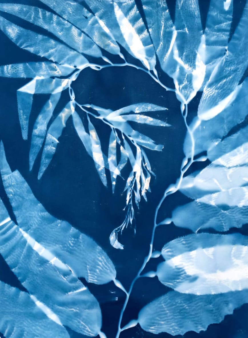 Catalina Museum tweet media