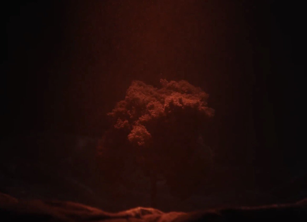 yuri 𐚁 tweet media