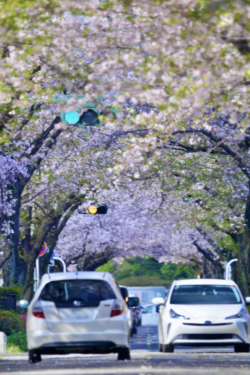 🌈ⓈⓄ宇宙ⓇⒶ🌈 tweet media