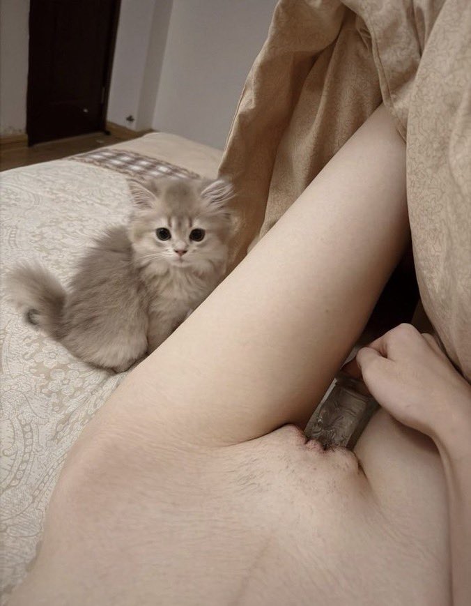 Je m’ennuie au lit… qui veut des photos ? Dépêche-toi 😏 getmysocial.com/telegram-azulie