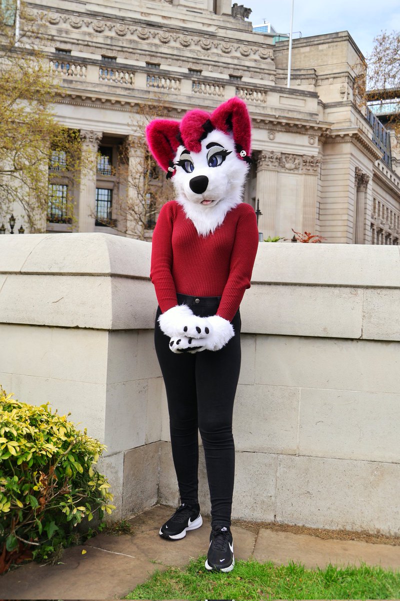 Arourasnowfloof's tweet photo. Small dog big city 🏛️🐾
📸 @BeanosBlep 
📍@londonfurs https://t.co/PmUai1EhUi