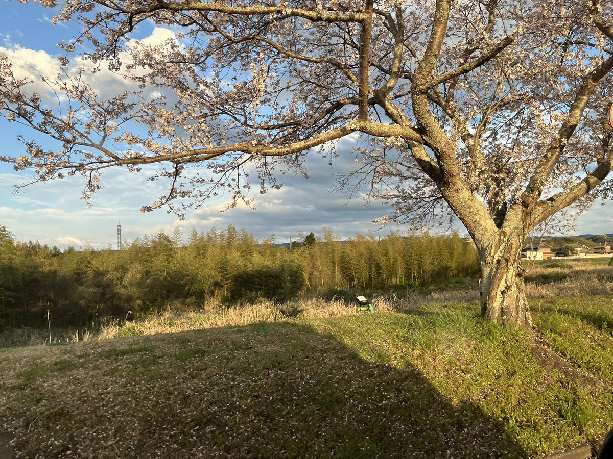 TravisBarker tweet media