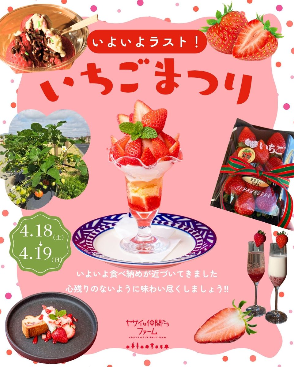今季ラストのいちご🍓まつり／ いよいよ、いよいよいちご🍓も終盤
