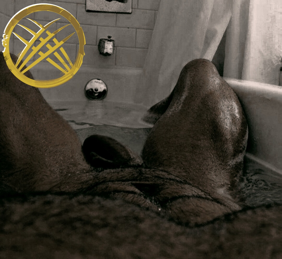 — 𝑅𝑂𝐺𝑈𝐸 — tweet media