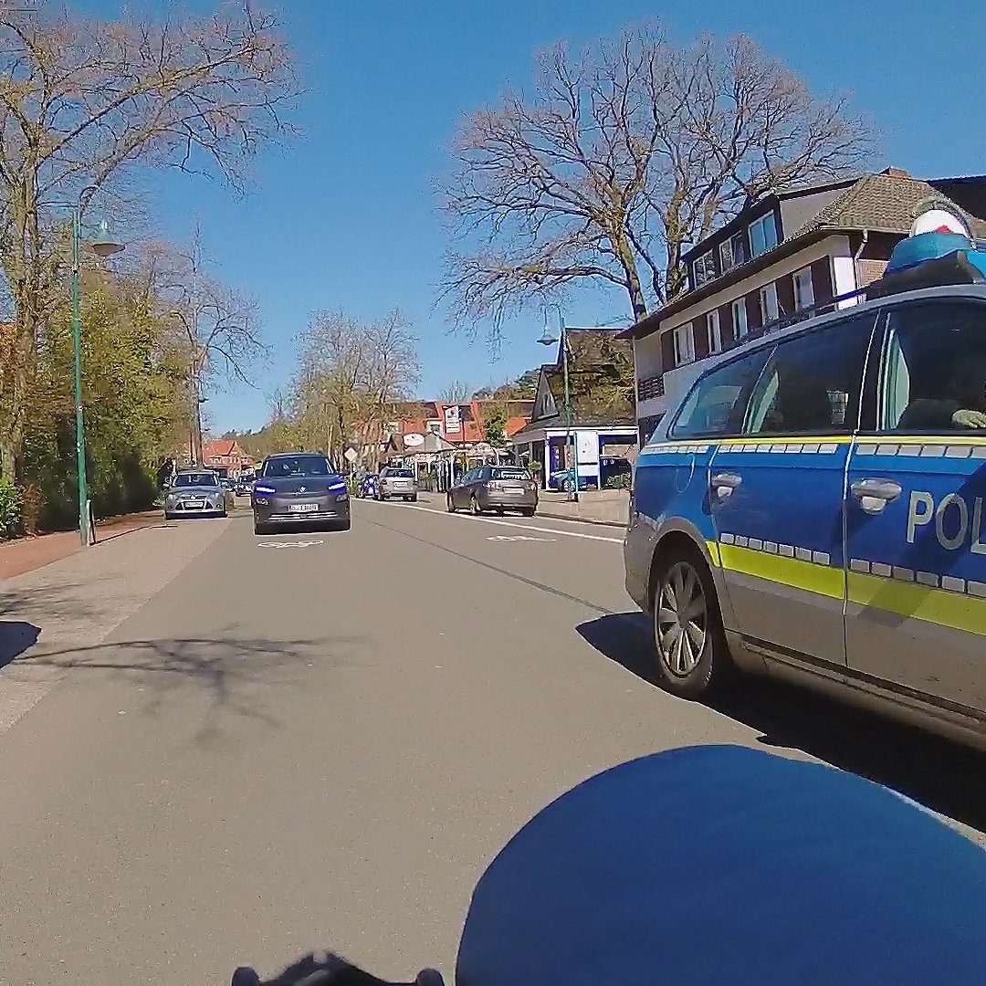 blue_racer tweet media