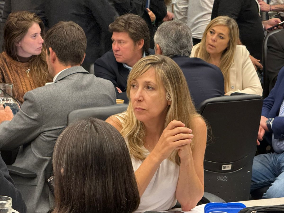 PTSarg's tweet image. #Congreso |  🏔️💧La diputada @myriambregman está presente en el Plenario de Comisiones donde se trata la modificación de la Ley de Glaciares.

¡El agua no se toca!