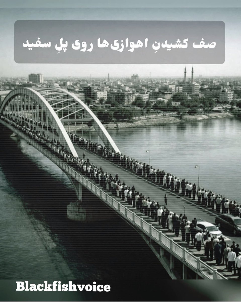 Freedom Bird (پرنده)🕊️🖤 tweet media