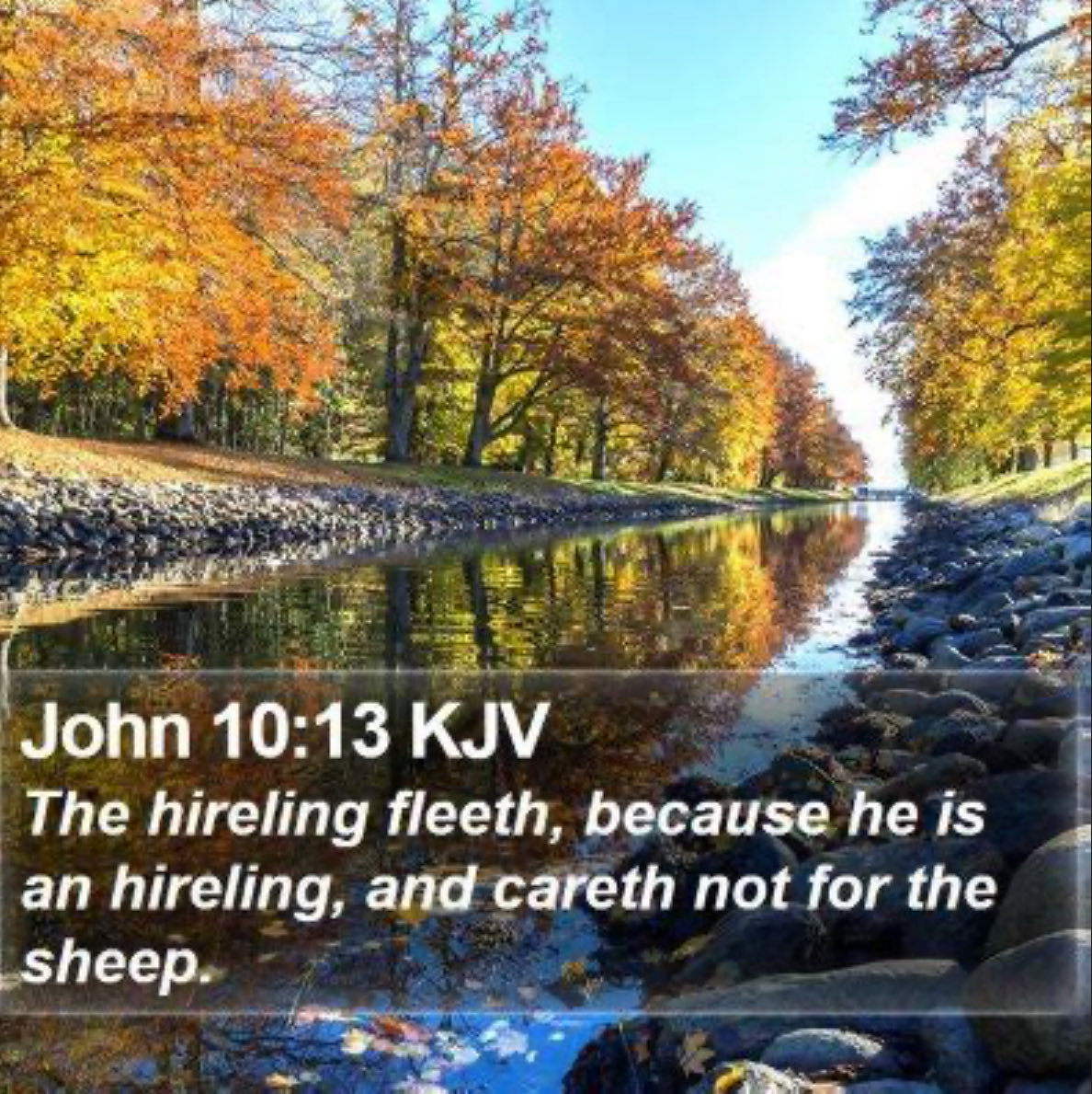 One_Of_His's tweet image. The SCOFIELD Bible notes are an attempt to change the gospel to bring us under bondage to Israel  and Judaism. #Christians need to reject this garbage: