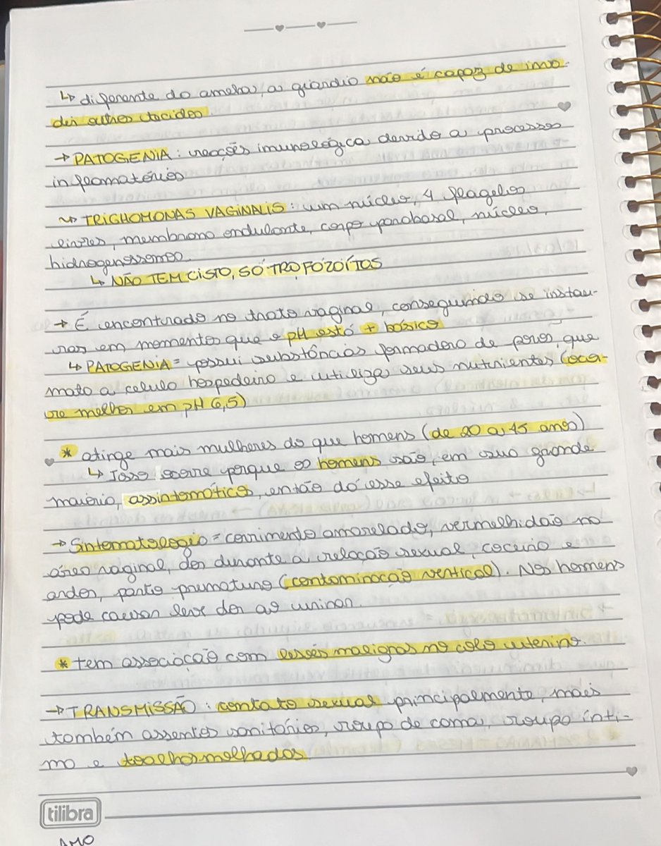 ☆𝒂𝒅𝒂𝒓𝒂☆ tweet media