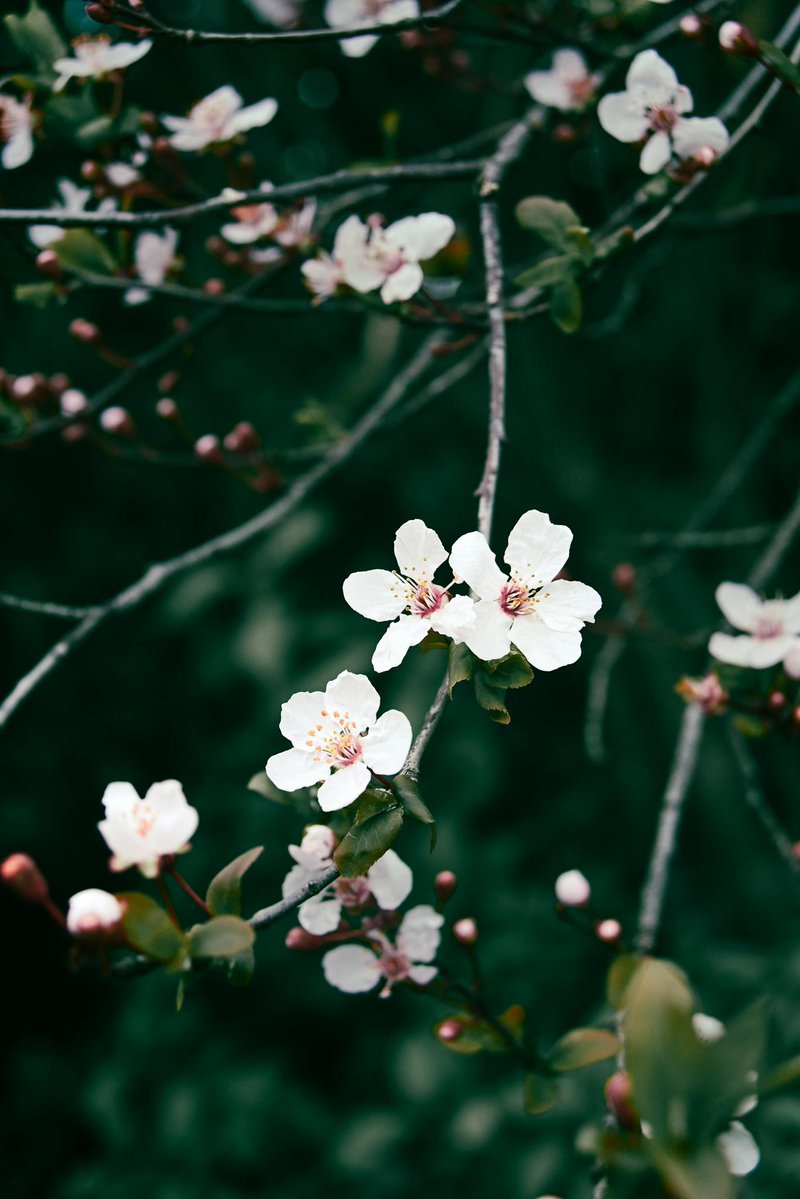 EarthPulse tweet media