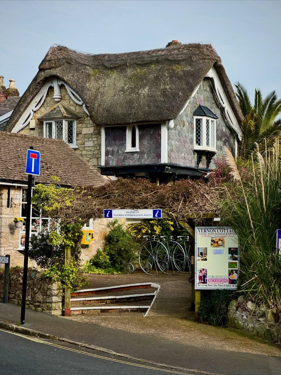 WanderLens tweet media