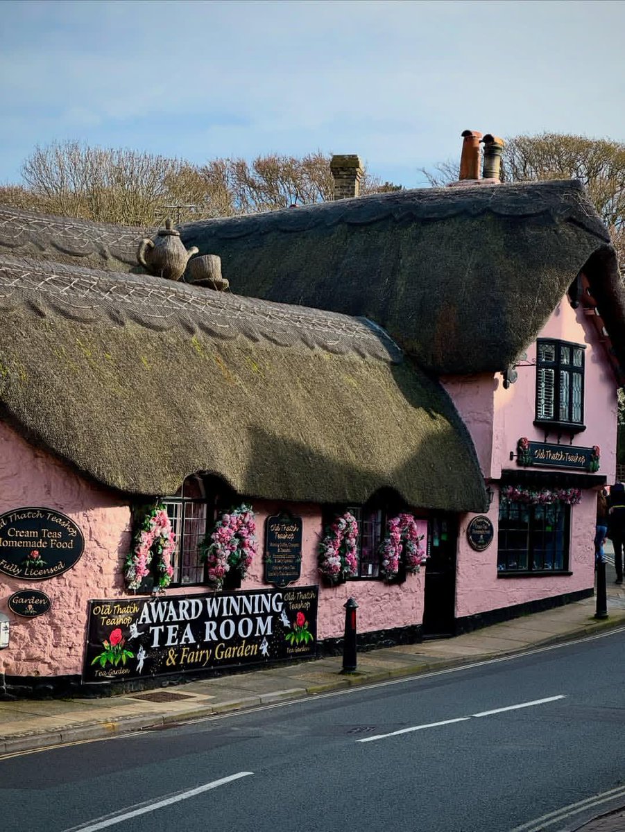 WanderLens tweet media