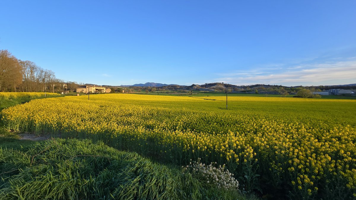 MeteoCall's tweet photo. #Calldetenes #Osona #324eltemps #arameteo @meteocat @324cat @3CatInfo #ElTempsTV3 #ElVerdaguer #meteocat #Weathercloud @som3cat #Catalunya 

https://t.co/Jh5TkMh05E https://t.co/xZv6Nm0WDC