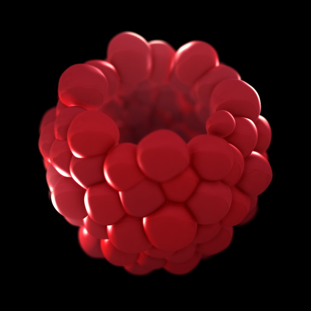 xponential's tweet image. Talking about old renders, pulled out this 3D raspberry #trapcodeTAO source file. Remember building it for this tutorial recorded on Feb 17, 2016. 
(link in 'alt' image description)

We'll clean it up today, and archive an optimized and enhanced GIF sequence, hopefully under 15mb