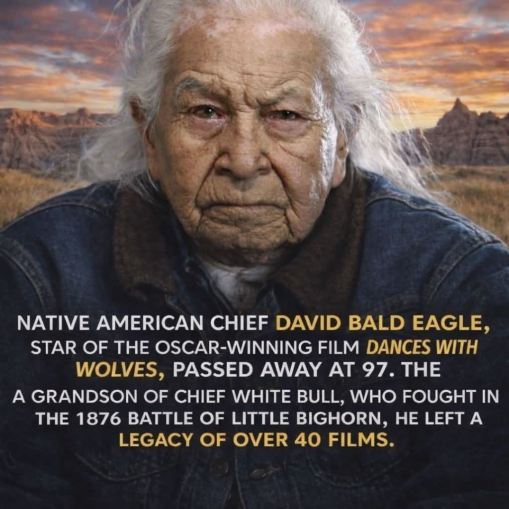 native_history_'s tweet image. 