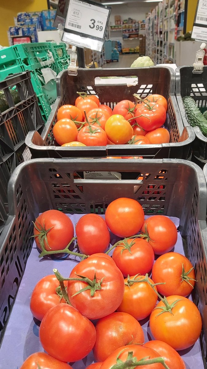 Viajero del Mundo tweet media