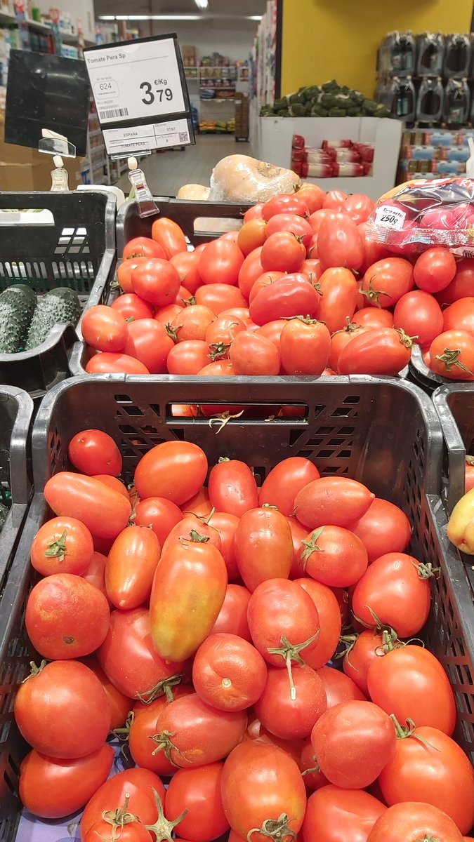 Viajero del Mundo tweet media