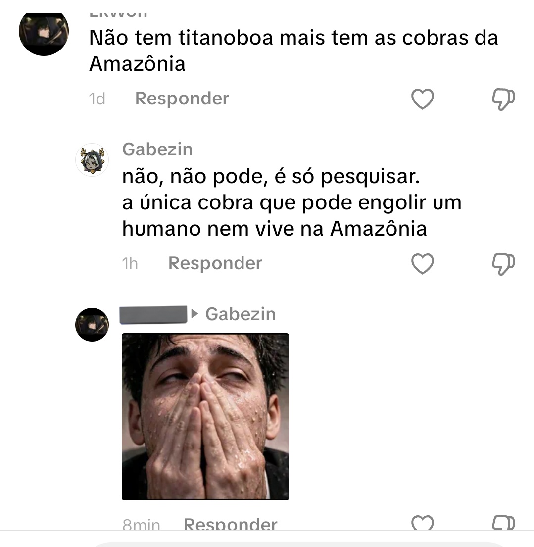 『 Gabe 』 tweet media