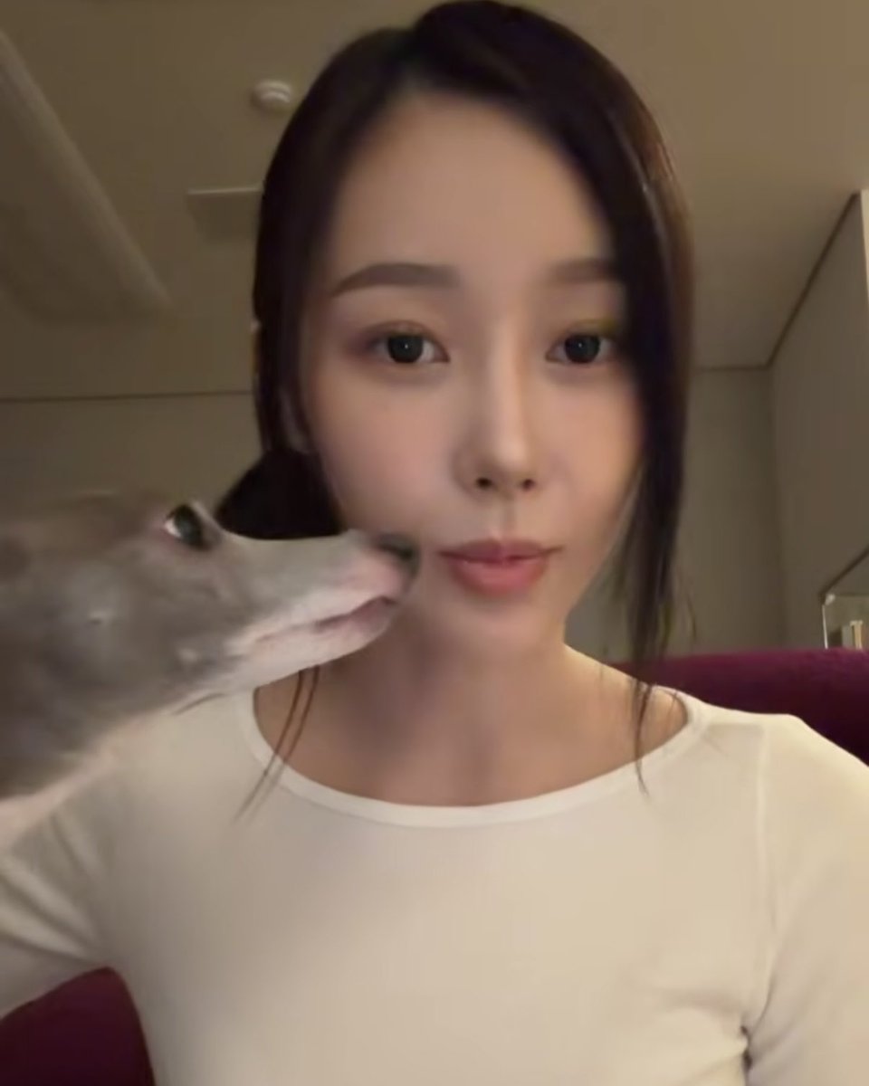 𝐦𝐚𝐫𝐢 🍡 tweet media