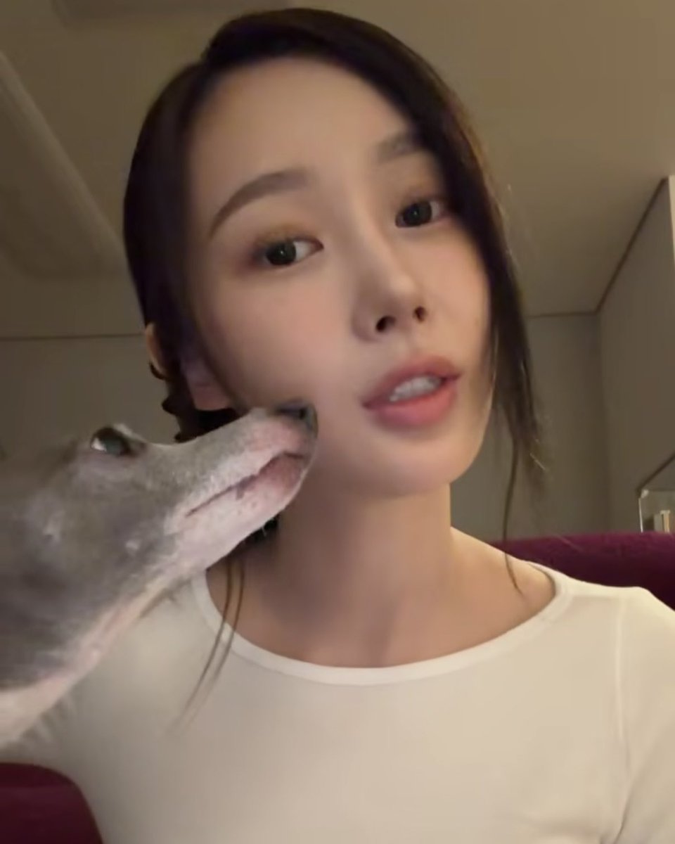 𝐦𝐚𝐫𝐢 🍡 tweet media