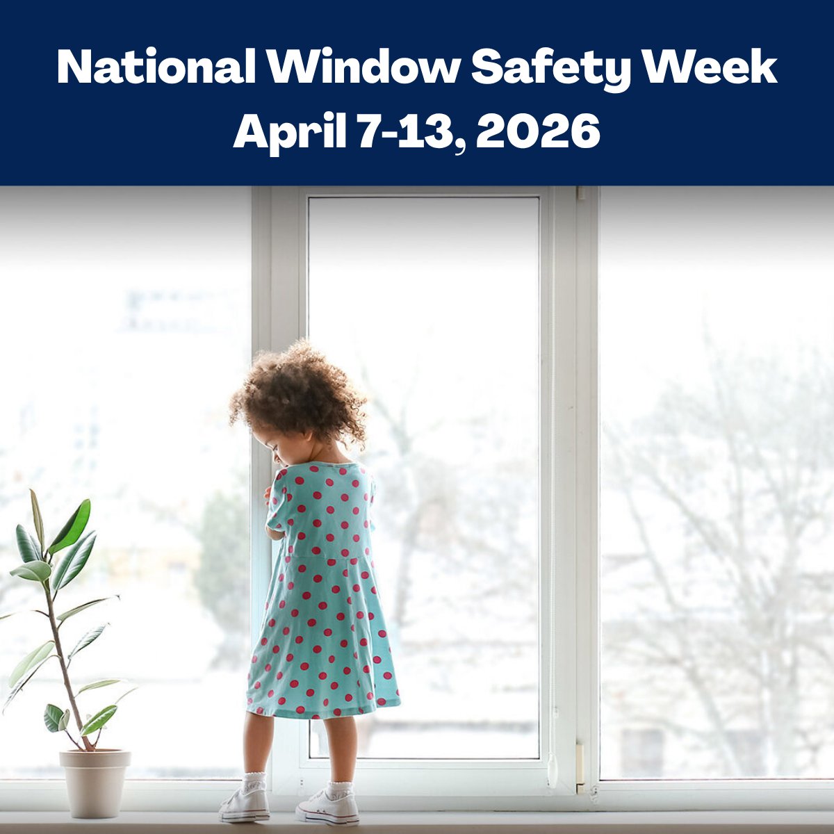 Window Coverings tweet media