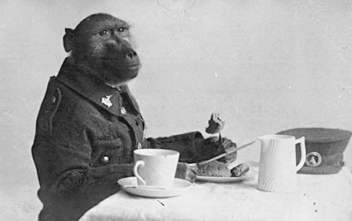 Historic Vids tweet media