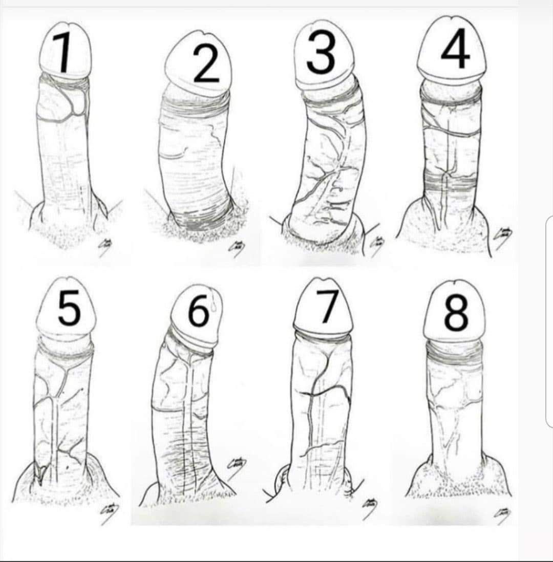 🩵Aqua&Black🖤 tweet media