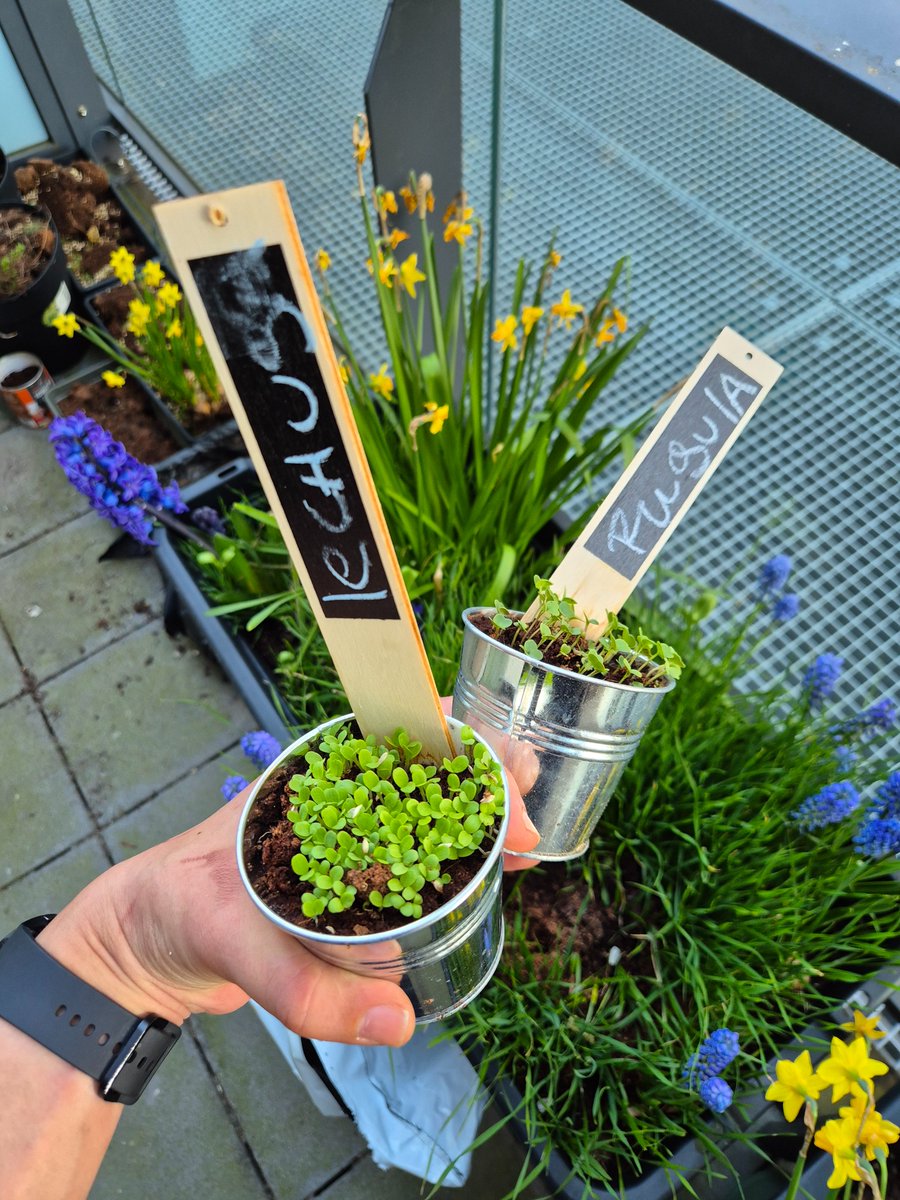 Rafael Navarro tweet media