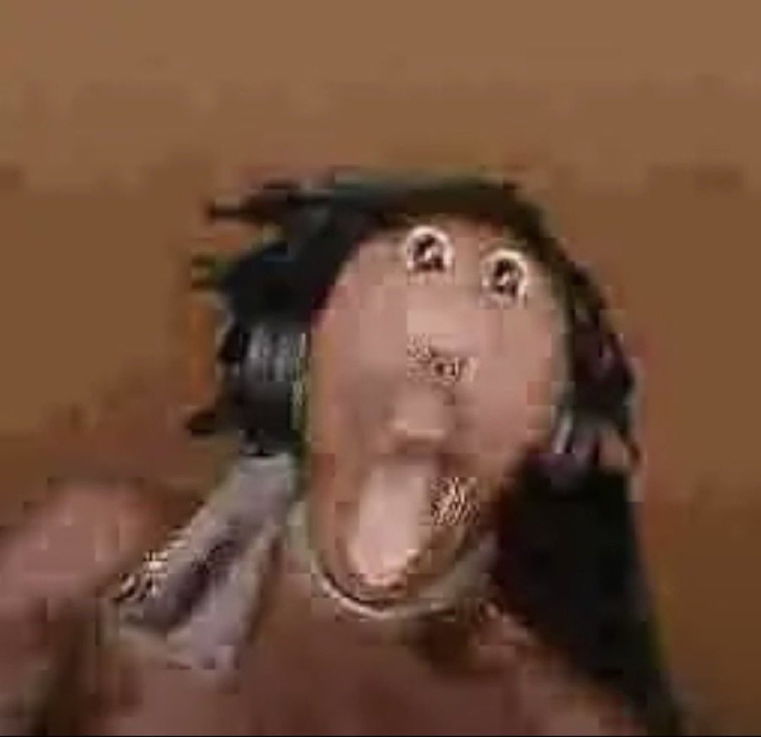 قادم من جبال الثعالب tweet media