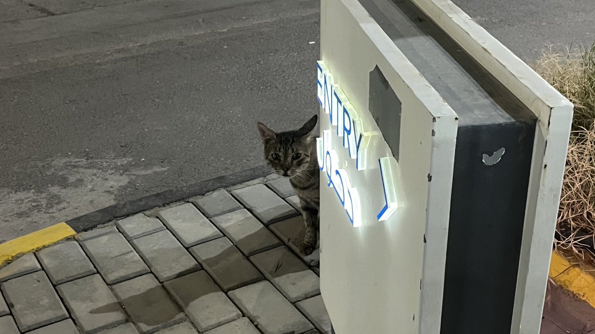 abdullah tweet media