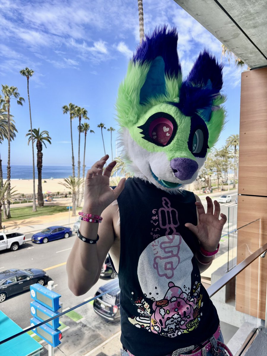 fenn 🐾 tweet media