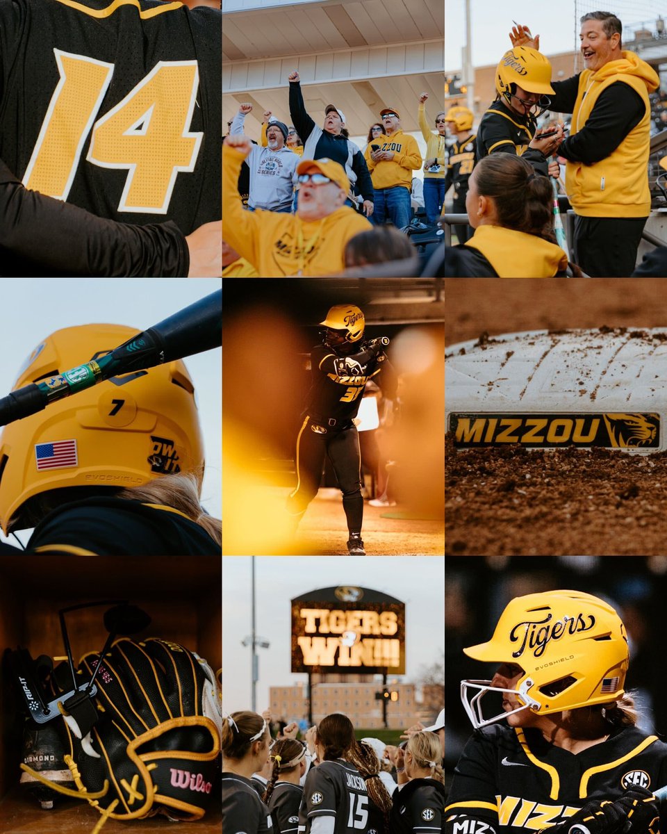 Mizzou Softball tweet media
