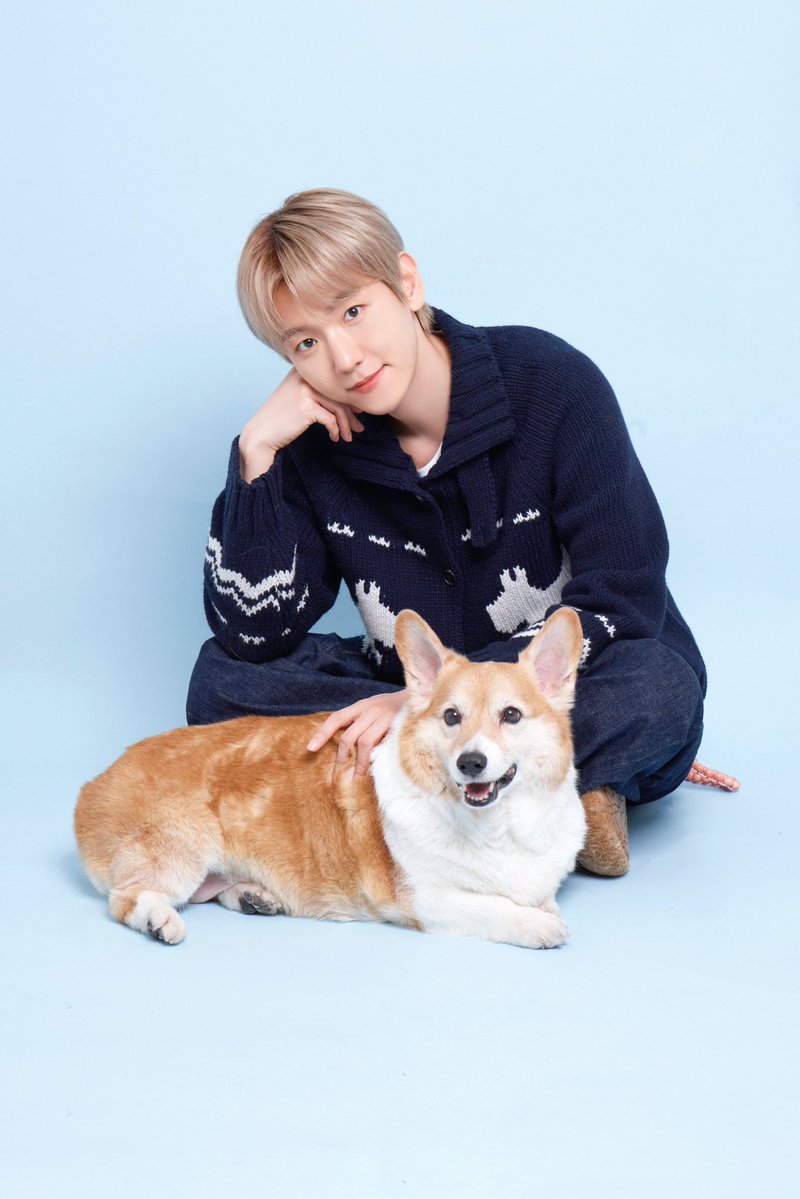 Happy 14th Debut anniversary Baekhyun We will always Be By your side. "Always Remember you are Braver than you Believe.  Stronger then you seem. Smarter than you think. And Loved More than you know"

#큥_데뷔14주년_축하해
#14YearsWithBaekhyun