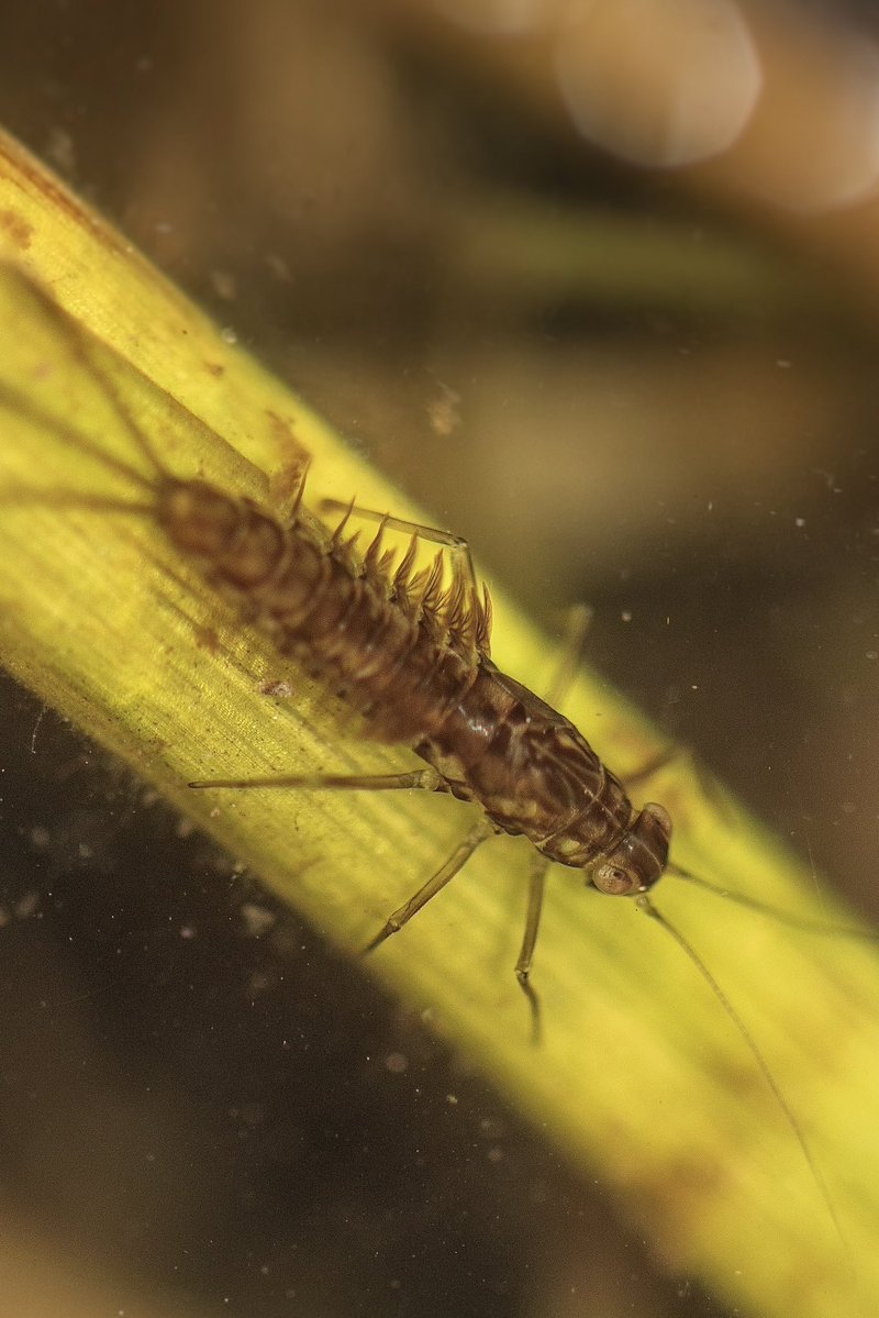 Dr Juliet Turner tweet media