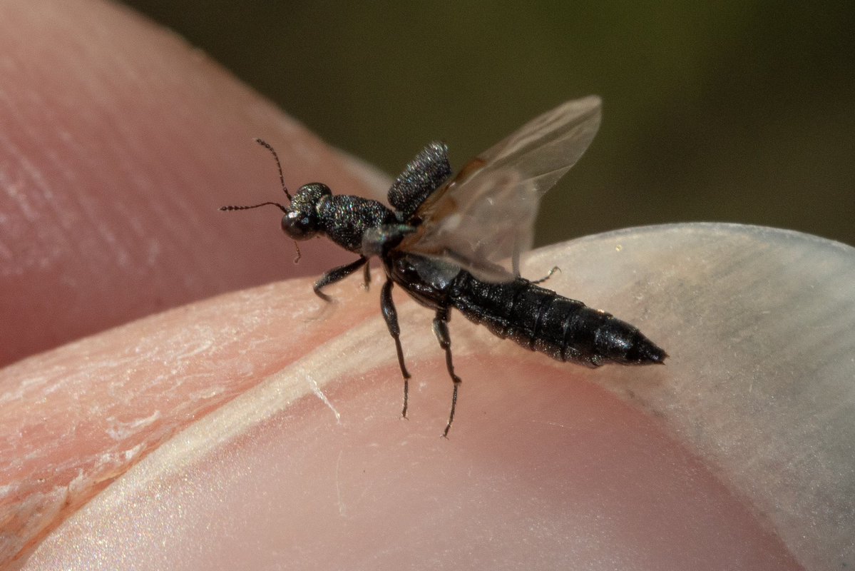 Dr Juliet Turner tweet media