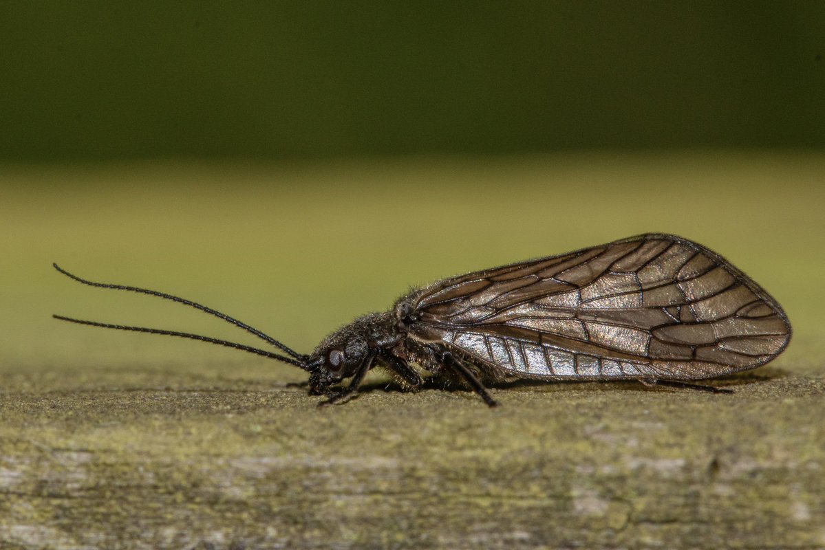 Dr Juliet Turner tweet media