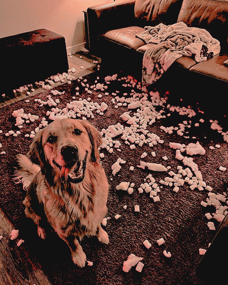 𝐄𝐑 𝐊𝐄𝐍 𝐃𝐎𝐋𝐋 .ᐟ tweet media