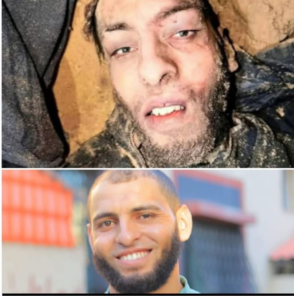 غزة الآن - Gaza Now tweet media