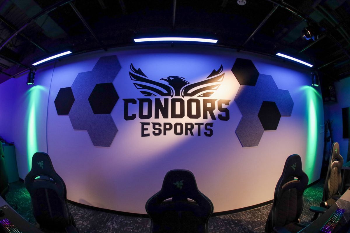 Pottsea_'s tweet photo. Conestoga COD will be looking to recruit for Fall 2026.

- T15 @CollegeCoD program and 2x NACE Grand Finals LAN qualifier
- wide range of academic options📖 
- very tightknit community🧶 

Especially targeting Canadian players with challengers, LAN, CMG experience! DM 📩 https://t.co/78WPdLDs1Y
